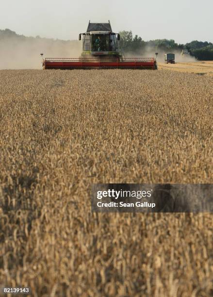 Combine harvests wheat at a field near Juehnsdorf on July 31, 2008 near Berlin, Germany. Though world food prices are rising, German farmers are...