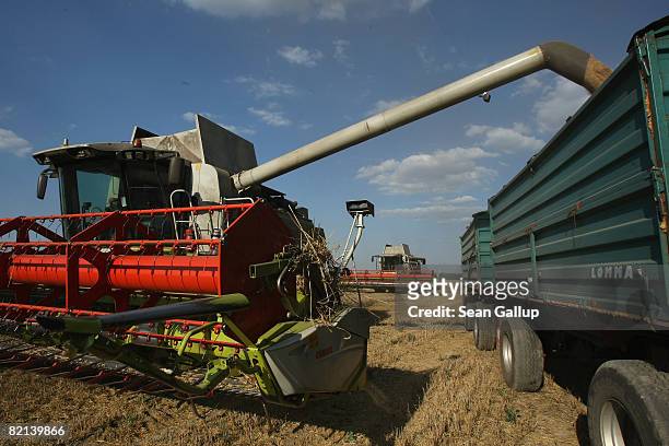 Combine dumps harvested wheat into a tractor's trailer at a field near Juehnsdorf on July 31, 2008 near Berlin, Germany. Though world food prices are...