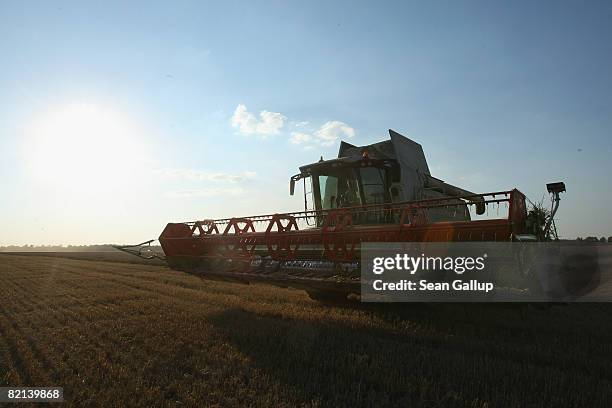 Combine harvester combine a field of wheat near Juehnsdorf on July 31, 2008 near Berlin, Germany. Though world food prices are rising, German farmers...