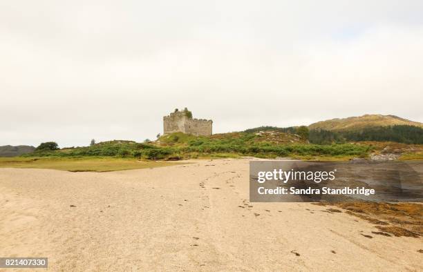 tioram castle on loch moidart south of mallaig, scotland, uk. - loch moidart stock pictures, royalty-free photos & images