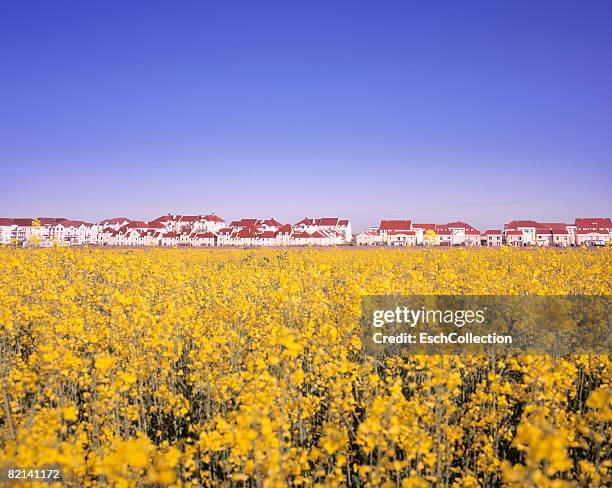 Homogeneous Building 217 Homogenous Stock Photos, High-Res Pictures, and Images - Getty Images