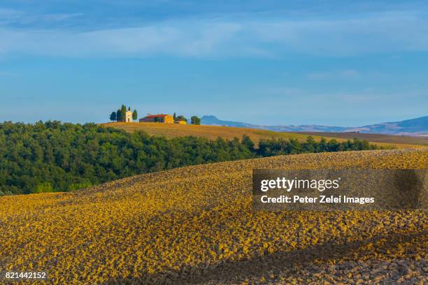 tuscan landscape with the capella di vitaleta in the summer - capella di vitaleta - fotografias e filmes do acervo
