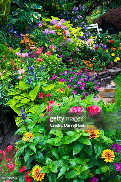 summer garden in bloom - anual característica de planta fotografías e imágenes de stock