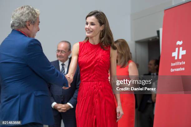 Queen Letizia of Spain inaugurates the annual meeting with director of Cervantes Institutes at Museo Ruso San Petersburgo on July 24, 2017 in Malaga,...