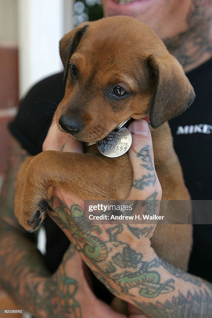North Shore Animal League Celebrates "DOGust The First"