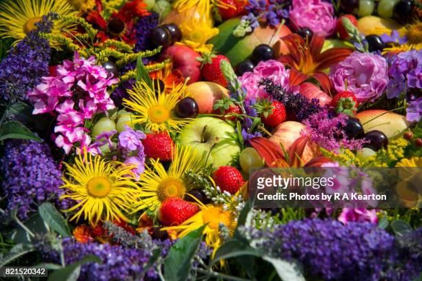 vivid colours of summery fruits and flowers - date fruit photos et images de collection