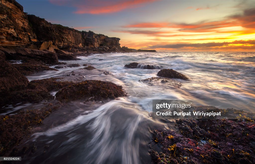 Coogee Beach