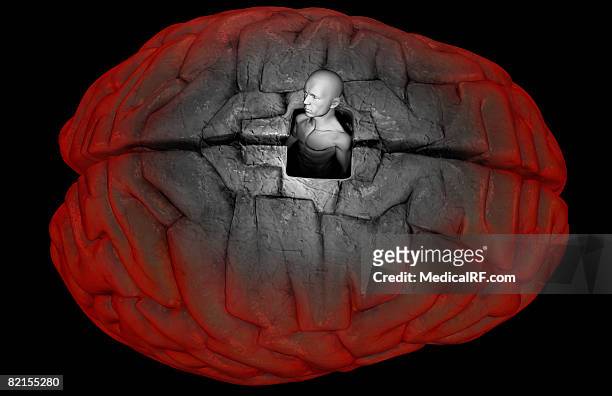 freeing the mind - right cerebral hemisphere stock illustrations