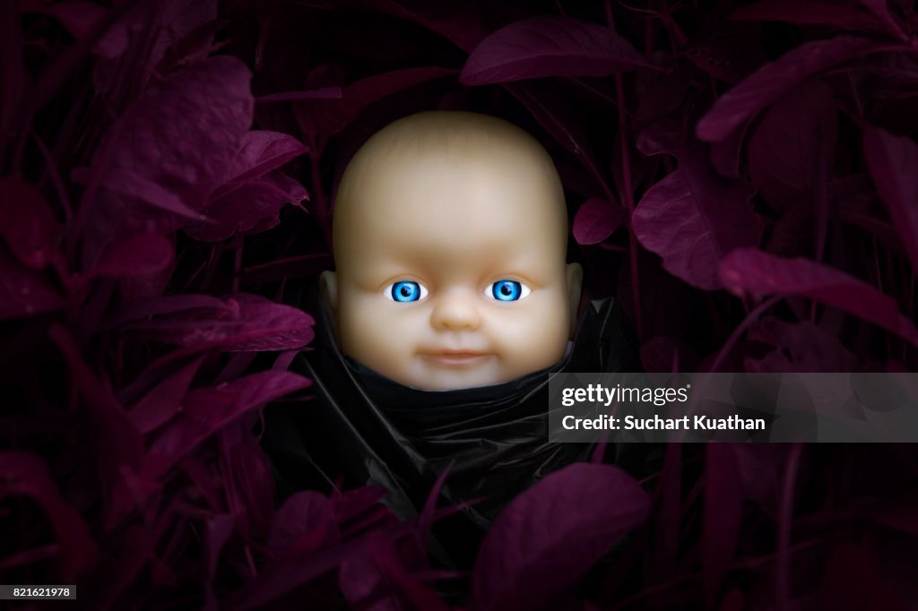 Baby doll wearing black dress stay in the thick growth of grass