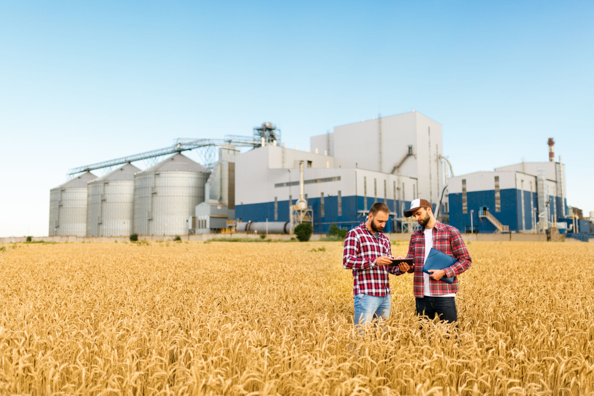 rural business development