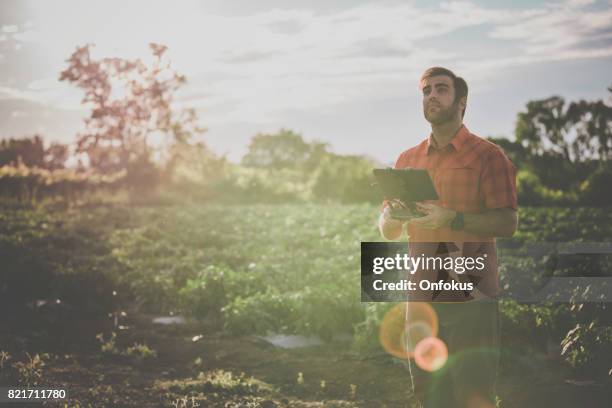 man farmer pilot using drone remote controller at sunset - farmer drone stock pictures, royalty-free photos & images