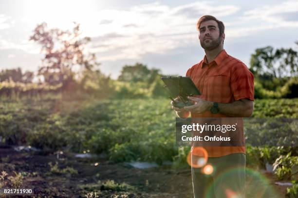 man farmer pilot using drone remote controller at sunset - beard pilot stock pictures, royalty-free photos & images