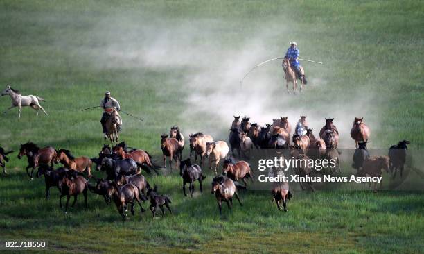 July 21, 2015 -- Herdsmen try to rope horses on the prairie at Xilinhot, north China's Inner Mongolia Autonomous Region, July 21, 2015. Horses are...