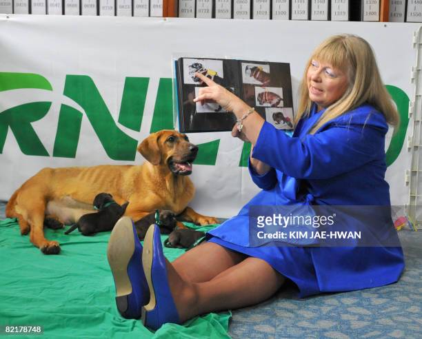 Bernann McKinney from Hollywood, California, shows the pictures of her beloved former pitbull terrier, beside a surrogate mother dog and five clones...