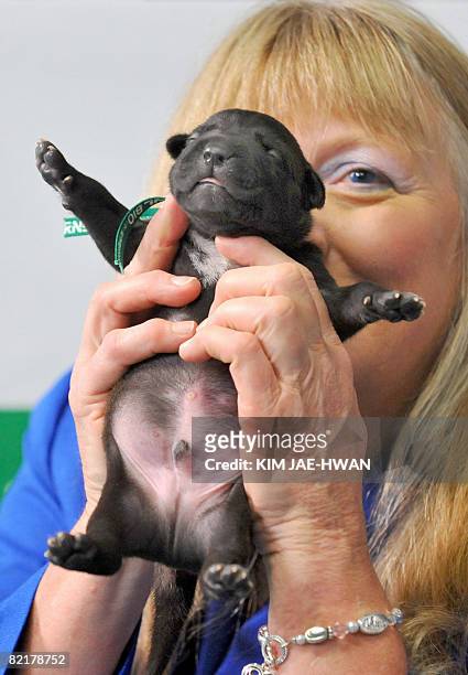 Bernann McKinney from Hollywood, California, smiles as she holds up a clone of her late beloved former pitbull terrier, at the Seoul National...