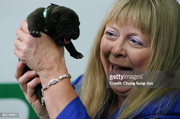Bernann Mckinney, a pet owner holds her pit bull terrier cloned dogs at the Seoul National University on August 5, 2008 in Seoul, South Korea. The...