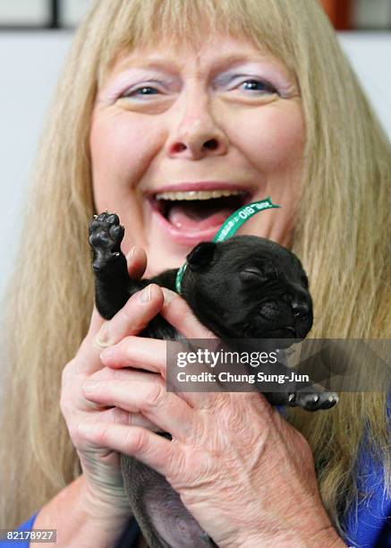 Bernann Mckinney, a pet owner holds her pit bull terrier cloned dogs at the Seoul National University on August 5, 2008 in Seoul, South Korea. The...