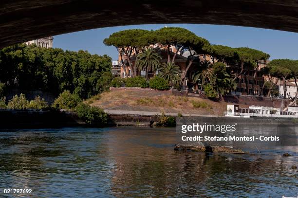 Tree emerges from the Tiber River, under the Garibaldi Bridge, with the low water level due to the drought on July 24, 2017 in Rome, Italy. Because...