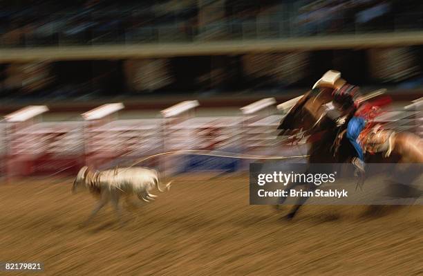 abstract rodeo - calgary stampede - fotografias e filmes do acervo