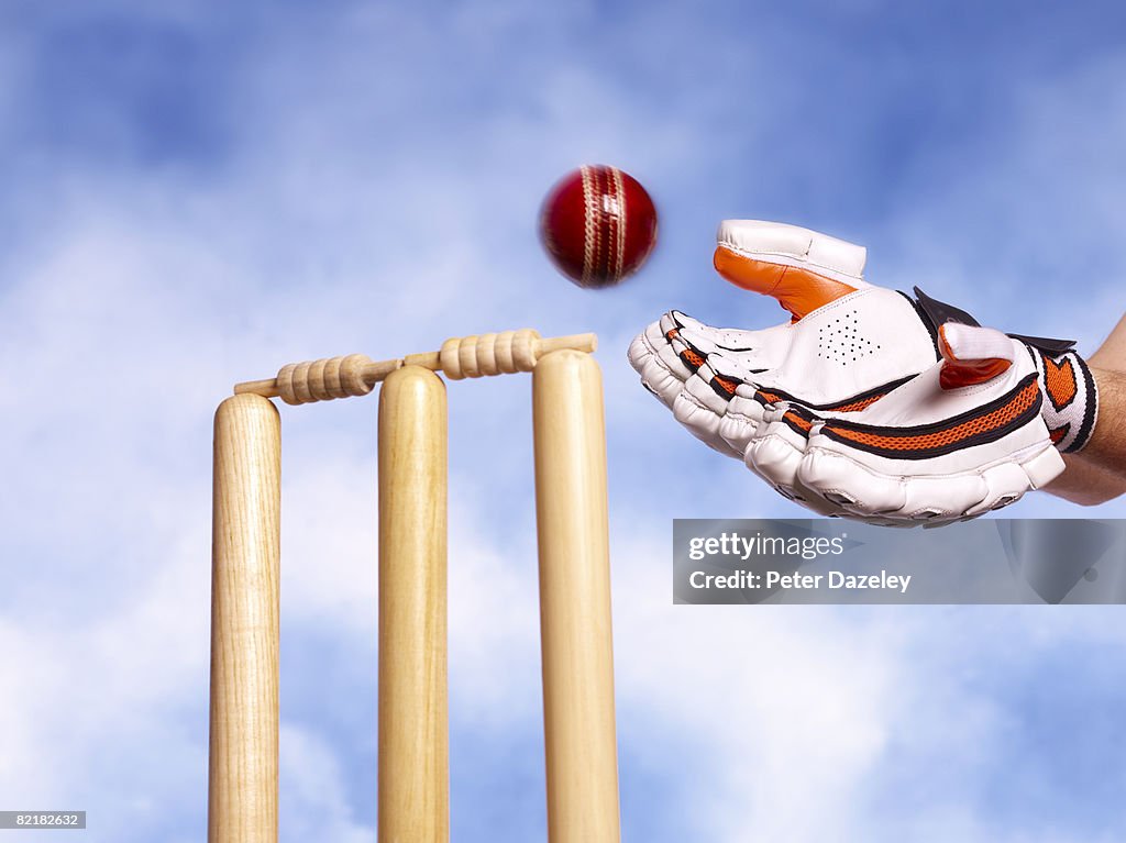 Wicket keeper catching cricket ball