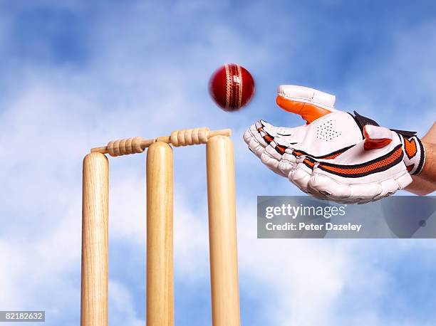 wicket keeper catching cricket ball - cricket stumps stock pictures, royalty-free photos & images