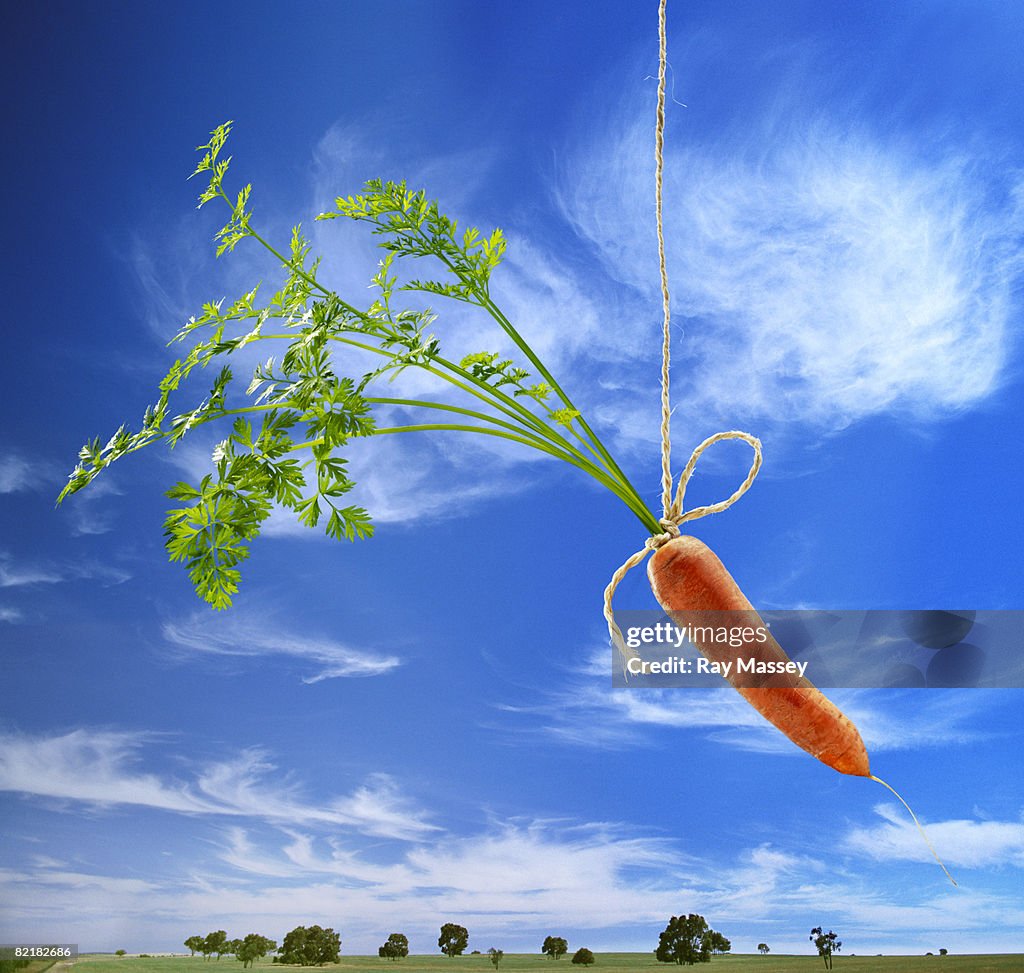 Carrot On A String