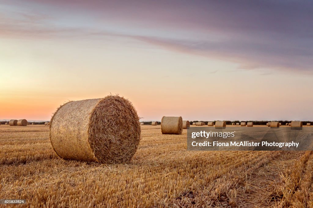 Make Hay While The Sun Shines
