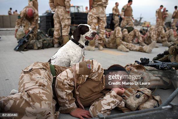 Lance Corporal Marianne Hay, 24 from Aberdeenshire, a soldier in the Royal Army Veterinary Corp and her arms and explosives dog Leanna attached to...