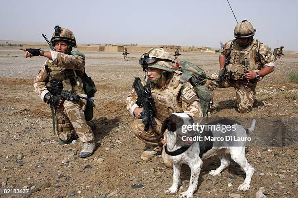 British Army soldier from the Royal Army Veterinary Corp Lcpl Marianne Hay, 24 from Aberdeeenshire and her arms and explosives dog Leanna attached to...