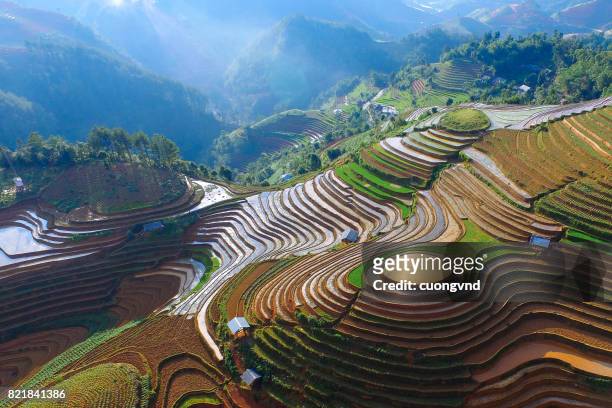 from above view on rice terraces in ha giang province of china flooded with water growing rise - yuanyang foto e immagini stock