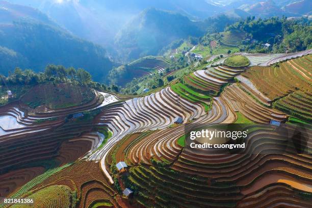 from above view on rice terraces in ha giang province of china flooded with water growing rise - laos stock pictures, royalty-free photos & images