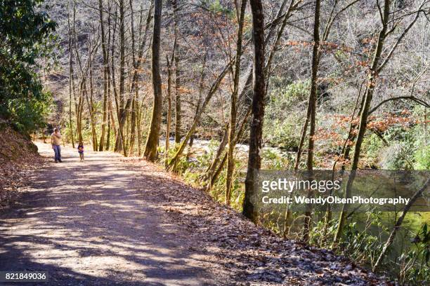 walking in nature - bryson city north carolina stock pictures, royalty-free photos & images