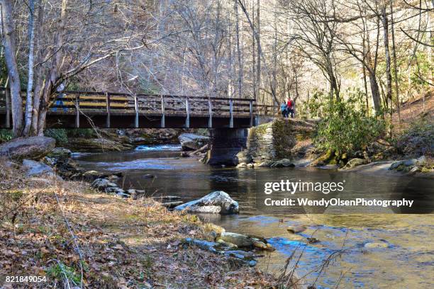 outdoors in the smoky mountains - bryson city north carolina stock pictures, royalty-free photos & images