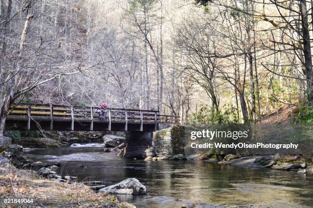 nature scene in the smoky mountains - bryson city north carolina stock pictures, royalty-free photos & images