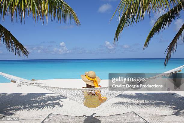 woman looking out at the ocean - hammock foto e immagini stock
