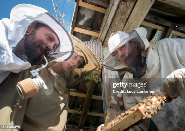 father & teens: three generations of beekeepers - beekeeper stock pictures, royalty-free photos & images