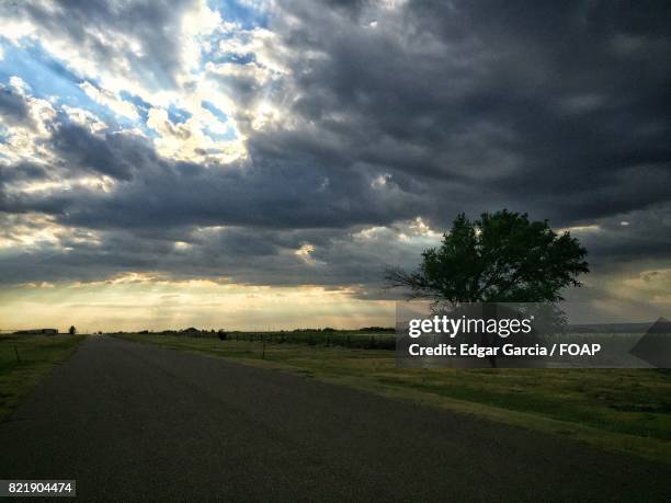 empty road in forest - clovis new mexico stock pictures, royalty-free photos & images