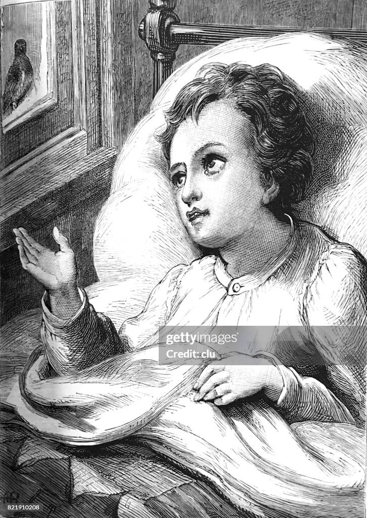 Boy lying in bed looking out the window to a bird