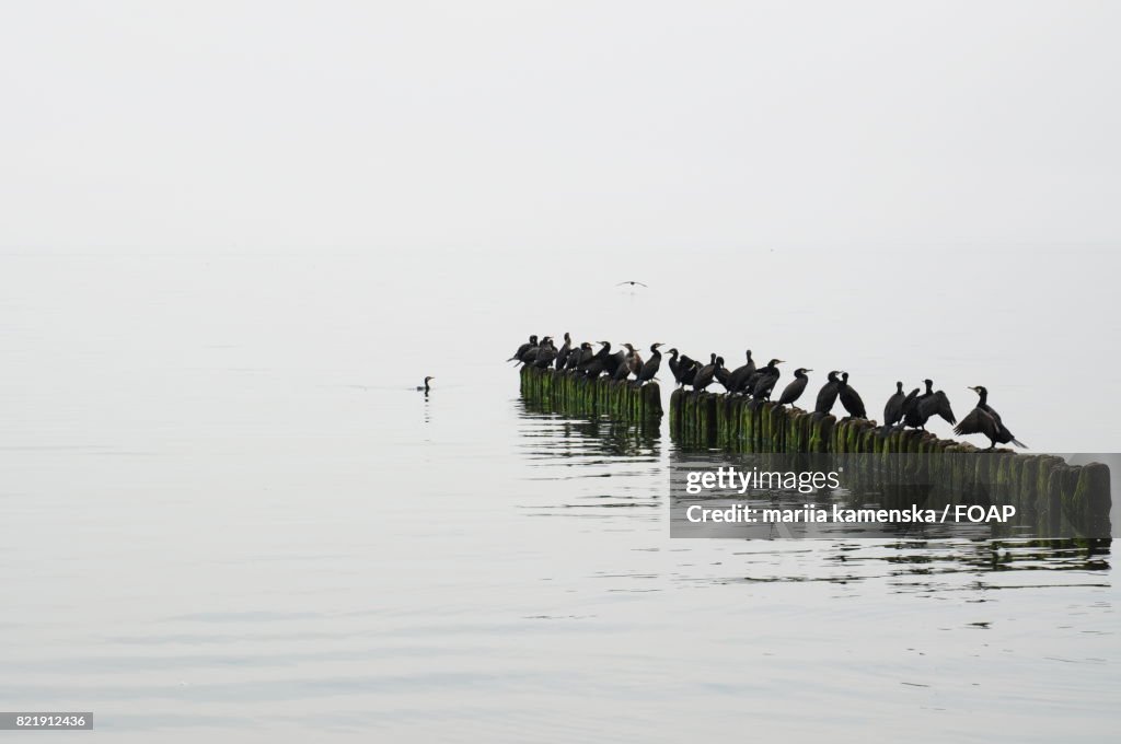 Baltic sea in Poland