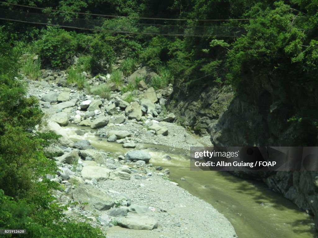 High angle view of a river in summer