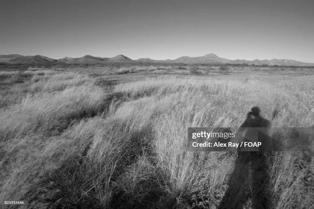 Desert view in Arizona