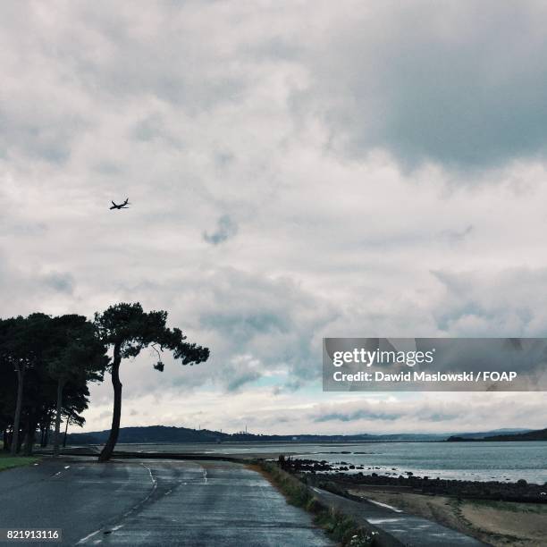 view of road by sea - maslowski stock pictures, royalty-free photos & images