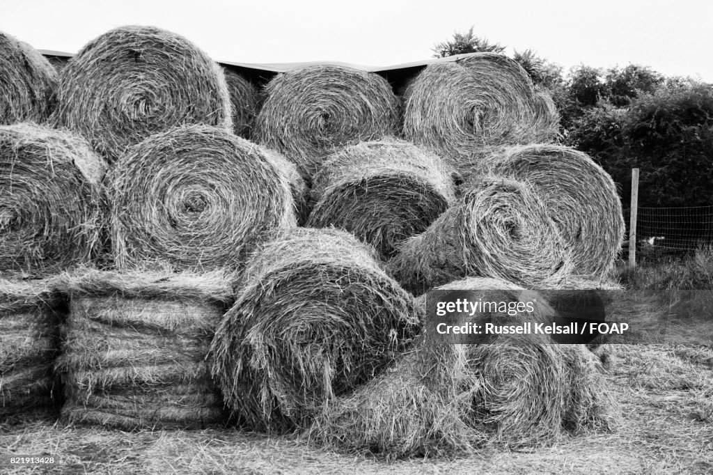 Stack of hay bales on field