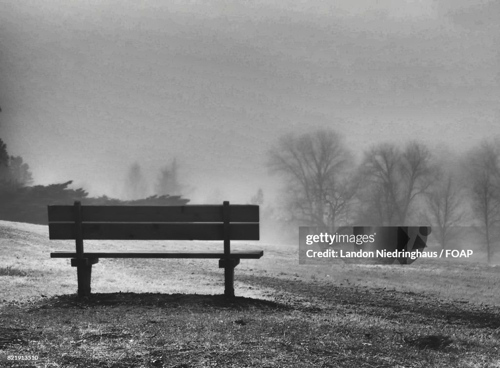 Empty bench and bare trees in winter