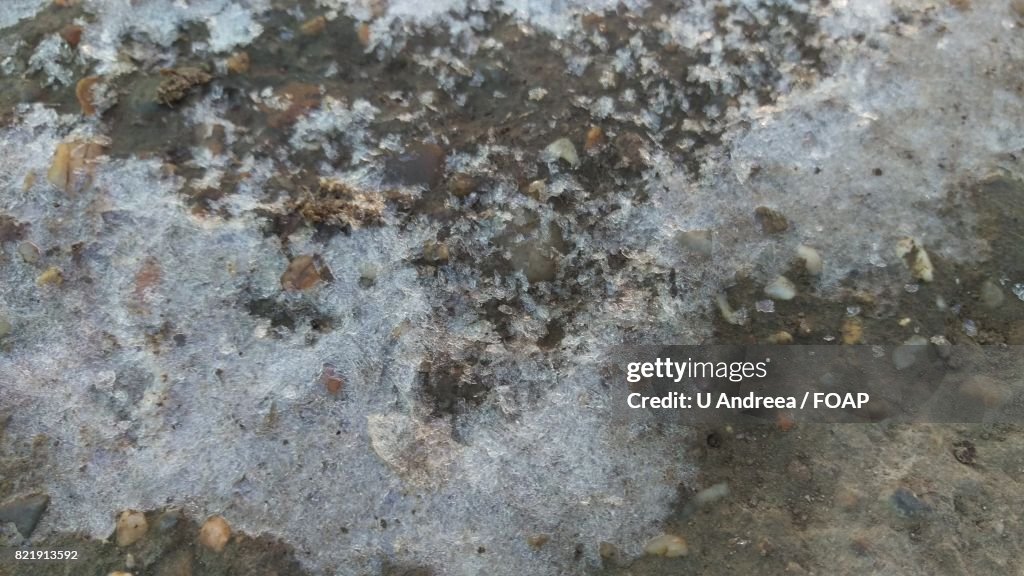 Close-up of frozen ice