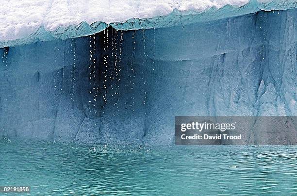 melting iceberg - glacier stock pictures, royalty-free photos & images