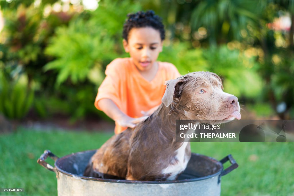 Ragazzo che fa il bagno al suo cane