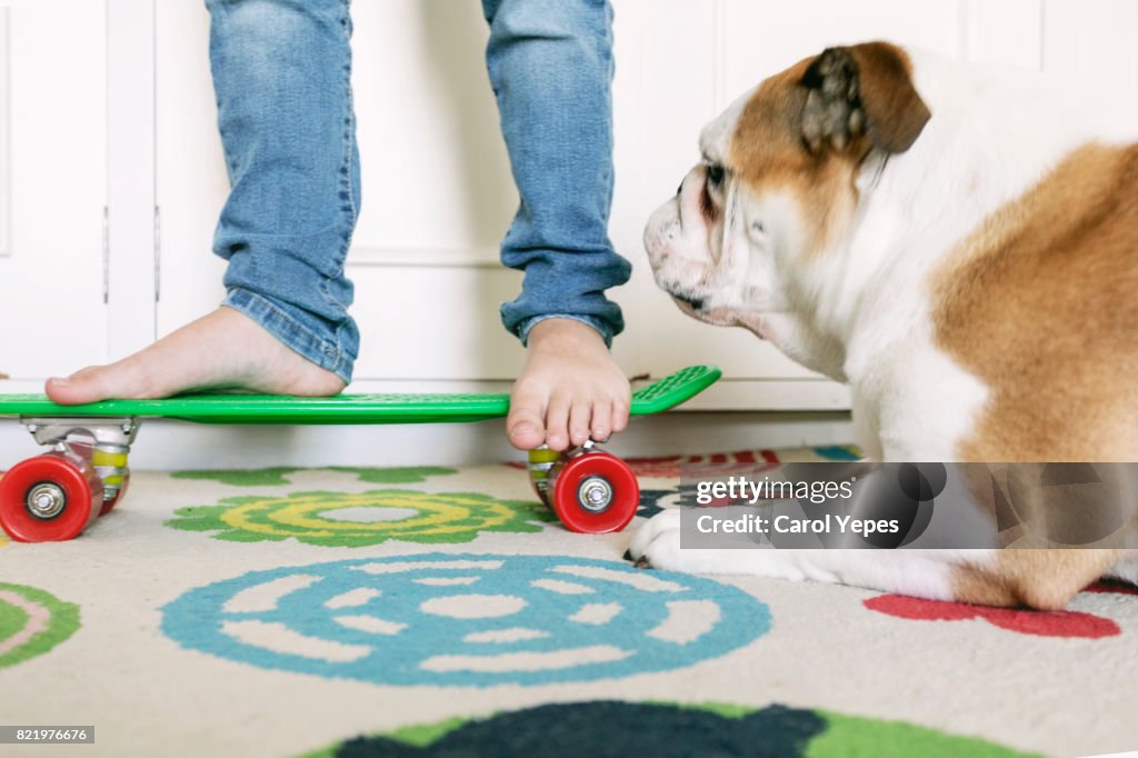 Low section  of young boy skateboarding at home with dog