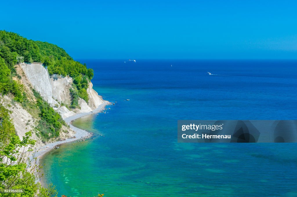 Beech forest at the sea