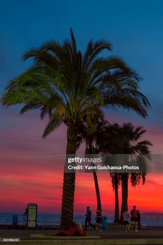 Promenade des Anglais, Nice, Alpes Maritimes, Paca, France